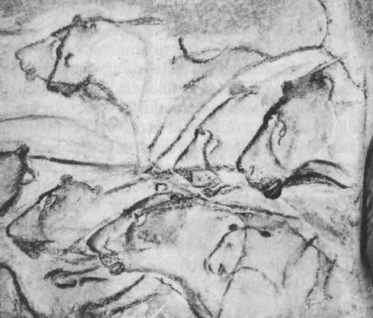 Изображение львиц из пещеры Шове (Франция, возраст - 35 000 лет)